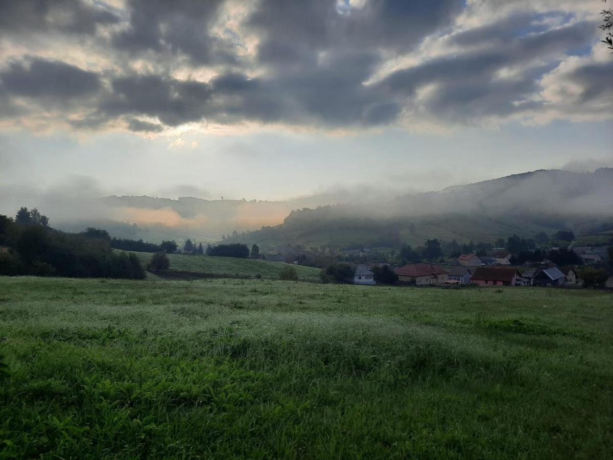 Complex Dealu' Frumos Gasthof *