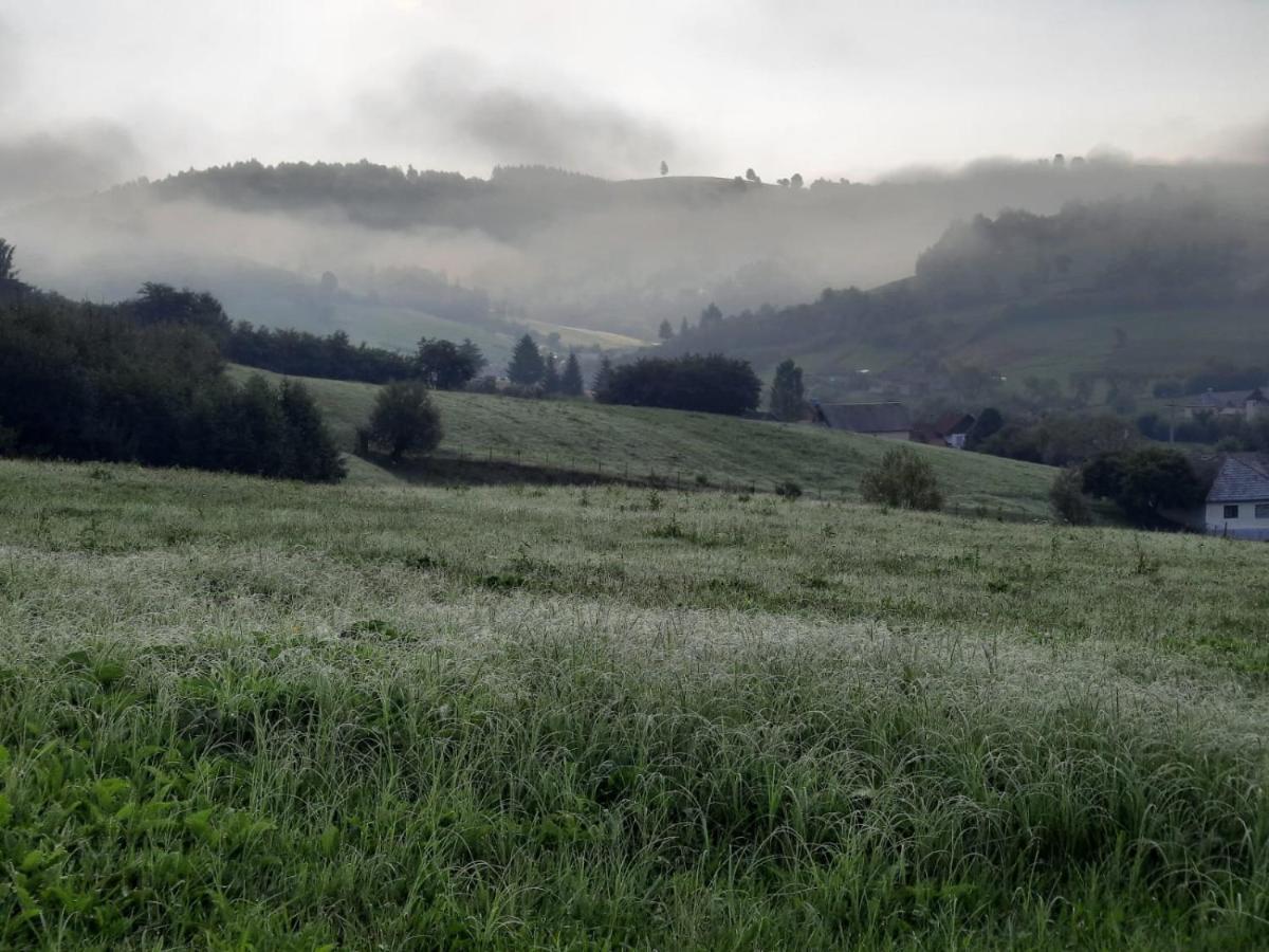 Complex Dealu' Frumos Gasthof *